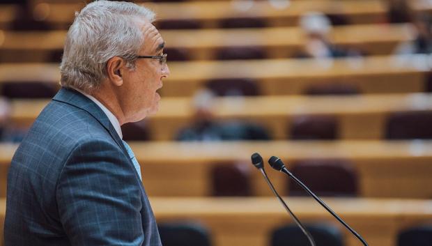 José Manuel Marín Gascón, senador de Vox, durante una intervención en el Senado
