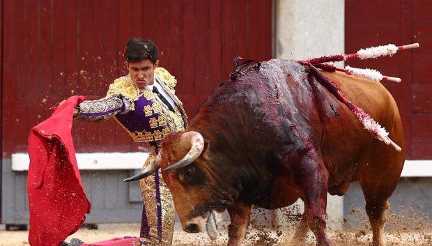 Manuel Diosleguarde toreando de rodillas