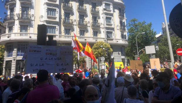 Banderas de España entre los manifestantes