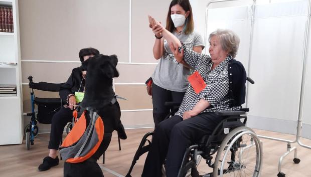 Las actividades con animales potencian el desarrollo cognitivo de los mayores