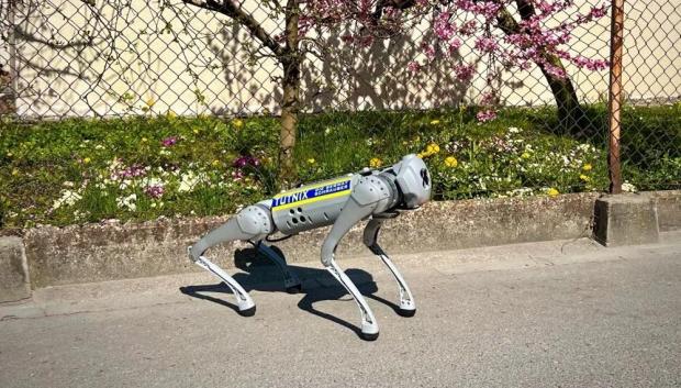 La versión del perro robot mascota vendido en la plataforma AliExpress
