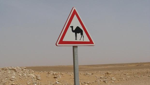 Señal de tráfico que advierte del paso de camellos