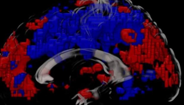 Imagen de resonancia magnética funcional del cerebro que muestra la corteza parietal (izquierda) y la corteza prefrontal medial (derecha) en rojo después de un baño de agua fría, lo que indica una mayor actividad en comparación con las áreas que muestran azul