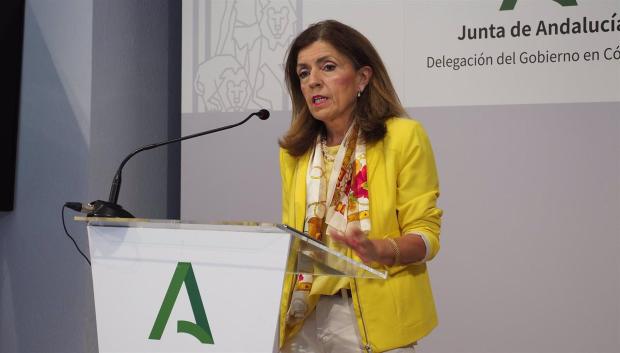 La delegada de Salud y Consumo, María Jesús Botella