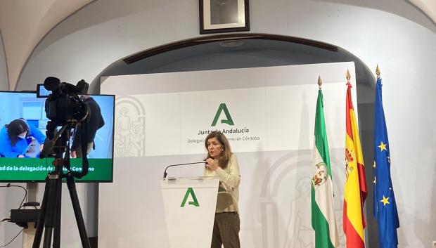 María Jesús Botella, durante su intervención