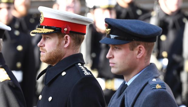 Guillermo y Harry