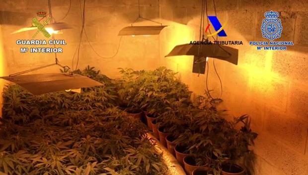 Organización criminal asentada en Huelva dedicada al tráfico a gran escala de hachís y marihuana