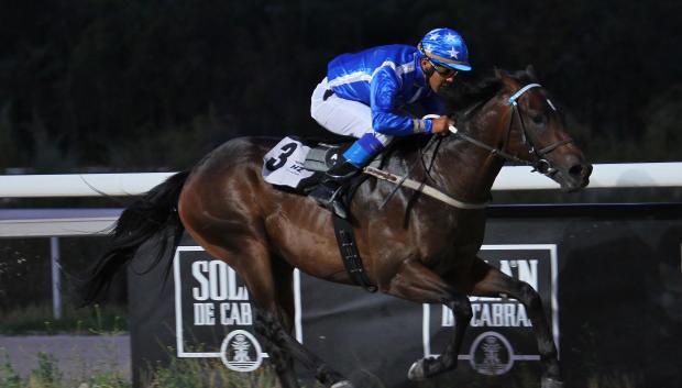 "Zeus" con Freddy Martínez - 1ª Carrera "Premio Cría Nacional - Colorines"