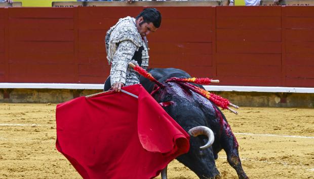 Actuación de Morante de la Puebla en la Feria de San Antolín de Palencia