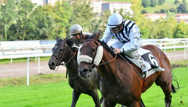 'Haya Taal' con Jaime Gelabert - 1ª Carrera 'Premio Aspace Gipuzkoa'