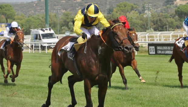 'Witiza' con Sr. Sarabia, Diego - 6ª Carrera 'Premio Lorenzo Sanz'