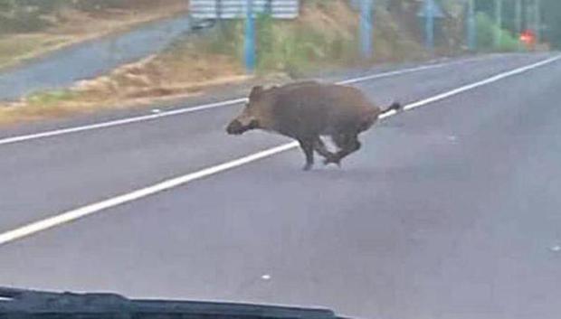 Esta imagen es cada día más habitual