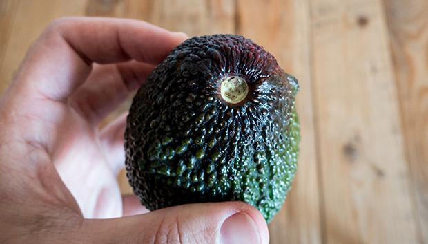 Aguacate-maduro