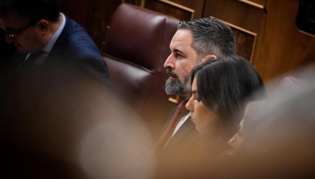 El presidente de VOX, Santiago Abascal, y la portavoz parlamentaria, Pepa Millán, en una sesión plenaria