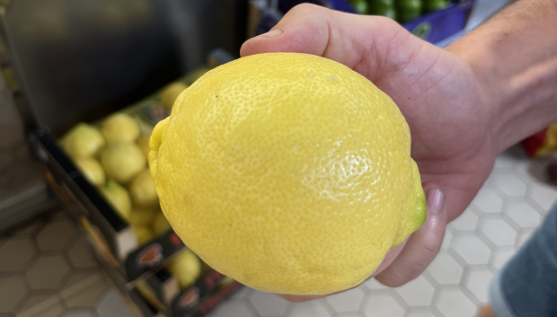 Imagen de un limón de procedencia alicantina tomada este lunes en el Mercado Central de Valencia