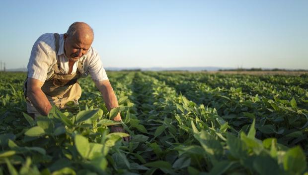 Agricultor trabajando en el campo