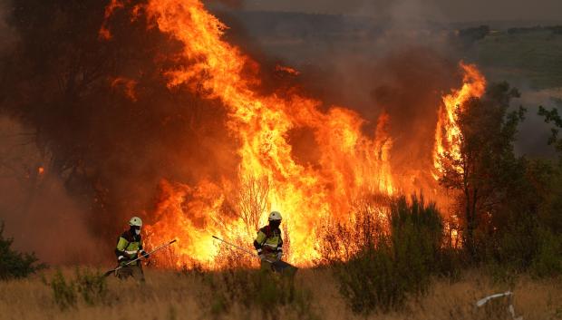 Los bomberos trabajan para extinguir un incendio forestal cerca de Losacio, al norte de Zamora, el 12 de agosto de 2025.