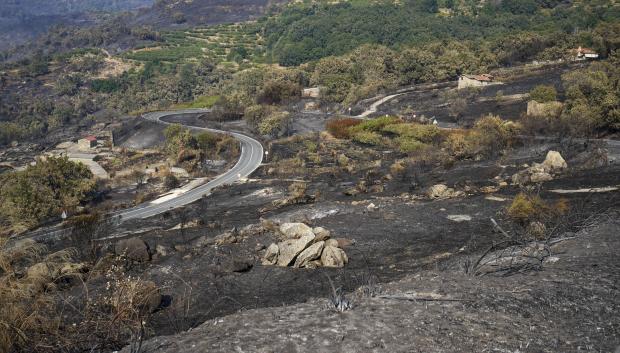 Áreas calcinadas en la localidad cacereña de Cabezabellosa por el incendio de Jarilla (Cáceres)