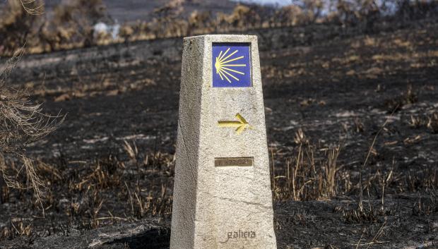 SANTIAGO DE COMPOSTELA, 29/08/2025.- Un hito del Camino de Santiago sobre un terreno calcinado indica el sentido del recorrido. A la dificultad habitual del Camino a Santiago se sumaron en los últimos días el fuego de los incendios y el humo; para unos, rozó el misticismo, y llegaron a la meta; otros cambiaron sus planes. EFE/Xurxo Martínez