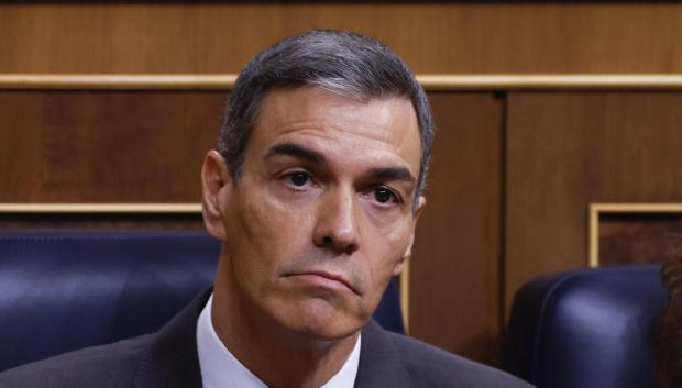 El presidente del Gobierno, Pedro Sánchez, en el Congreso