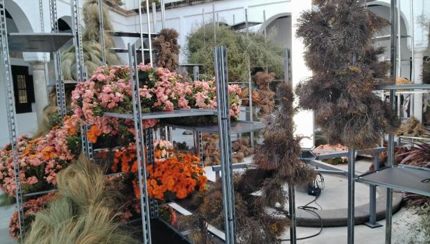 Instalación Semillas nómadas, de Ikefrana, ubicada en el Palacio de Orive