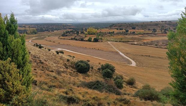 Paisaje que rodea la bodega Dominio de Atauta, en Soria