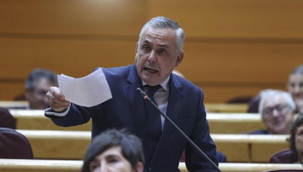 El senador de Vox Ángel Pelayo Gordillo, durante el Pleno del Senado