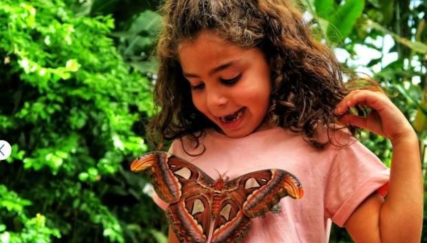 Un ejemplar se posa sobre una niña