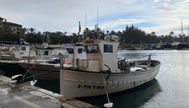 Barcos de la flota artesanal de pesca de Baleares, amarrados este lunes en Palma