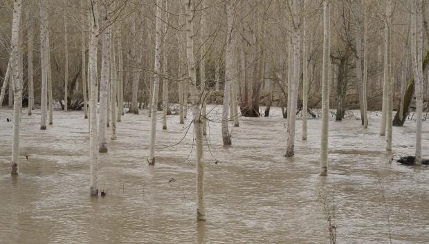 Los ríos se desbordan en El Bierzo y dejan varias zonas incomunicadas