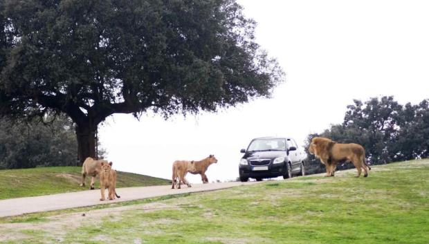 El recorrido en coche es un plan imperdible