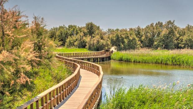 Tablas de Daimiel
