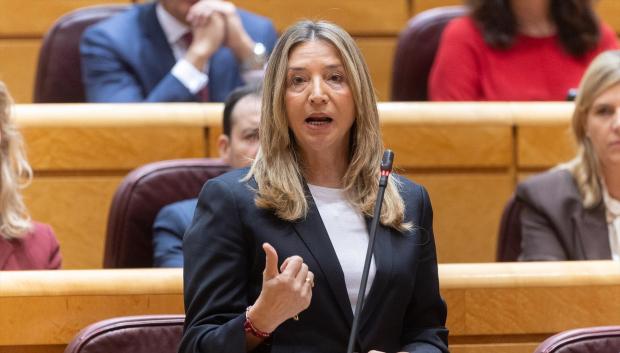 La portavoz del PP en el Senado, Alicia García,