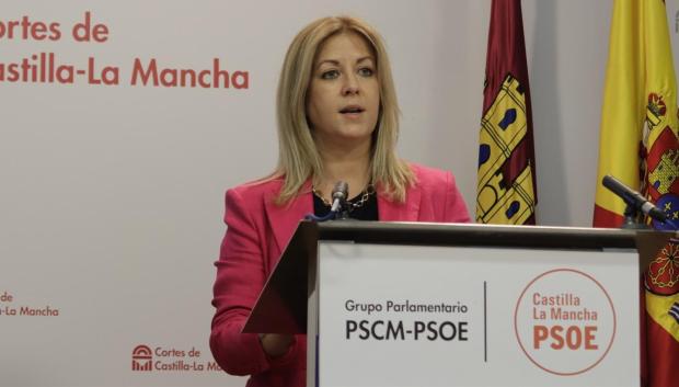 Ana Isabel Abengózar en rueda de prensa