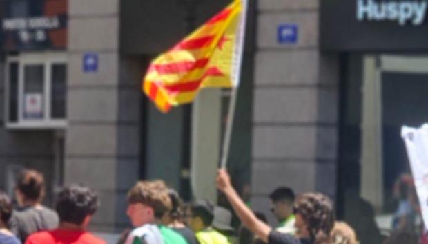 Imagen de una manifestación de docentes en Valencia