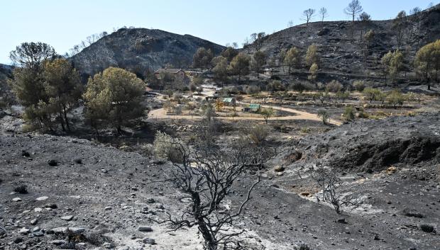 Estragos del incendio de Los Gallardos