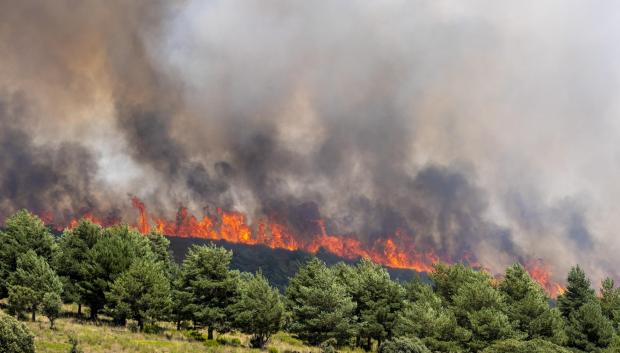 El incendio de La Mierla, en Guadalajara