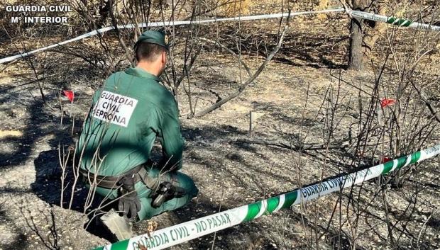 Incendio forestal en Talarrubias