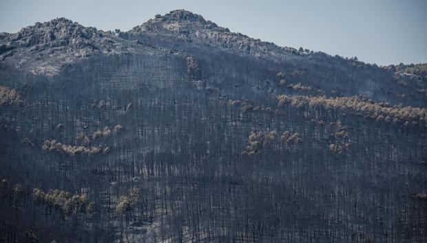 Paisaje en La Mierla tras los incendios