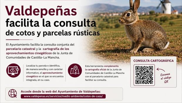 Valdepeñas facilita nuevas herramientas de información ante los daños ocasionados por el conejo de monte.

REMITIDA / HANDOUT por AYUNTAMIENTO
Fotografía remitida a medios de comunicación exclusivamente para ilustrar la noticia a la que hace referencia la imagen, y citando la procedencia de la imagen en la firma
13/8/2026