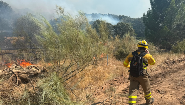 Los servicios de emergencias trabajan en la extinción del fuego en Aldea del Fresno
