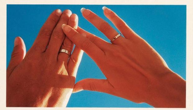 Las alianzas de casados de los Príncipes