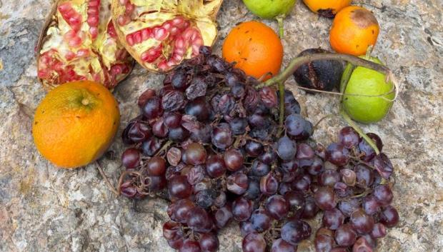 Frutas y otras ofrendas en el santuario de la diosa Tanit, en Ibiza.