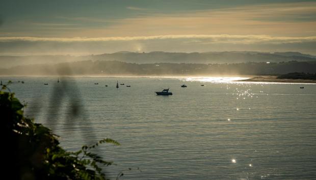 La máxima actividad de la lluvia se espera que tenga lugar sobre las 19 horas (hora oficial peninsular) del día 8 de octubre, por lo que la mejor noche para la observación debería ser la del 8 al 9 de octubre; la Luna será casi nueva, lo que garantiza un cielo oscuro durante toda la noche