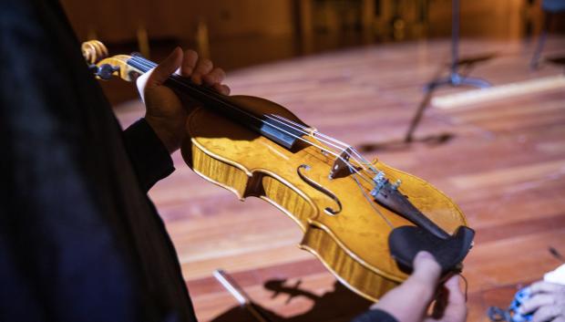 Violin