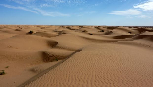 Sahara