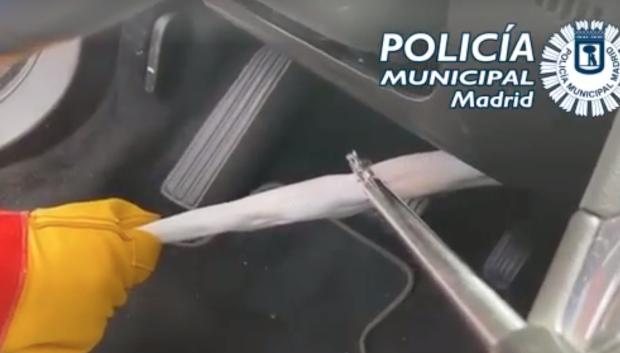Imagen de la serpiente en pleno rescate