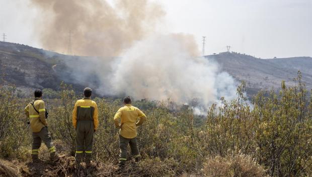 Un grupo de bomberos se dirige al incendio activo en el Parque Nacional de Monfragüe, en el municipio de Deleitosa (Cáceres)