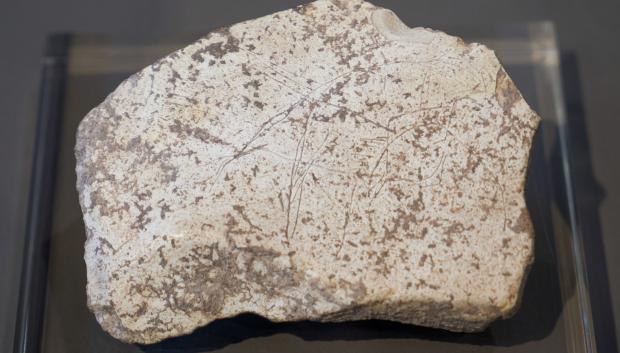 El hallazgo de una placa con grabados de hace 14.000 años (Paleolítico Superior), primera manifestación artística de este tipo