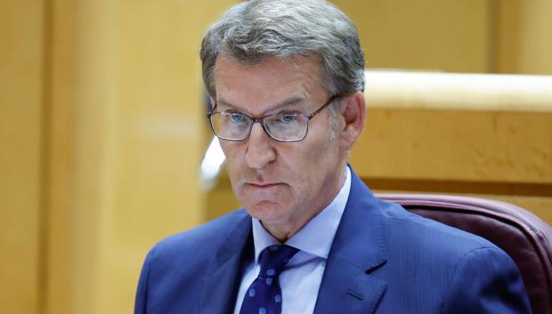El líder del PP, Alberto Núñez Feijóo, asiste al pleno del Senado